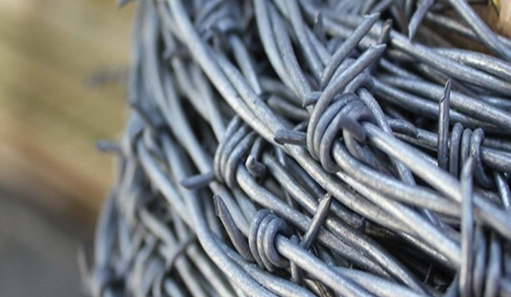 Close-up of a coil of galvanized barbed wire