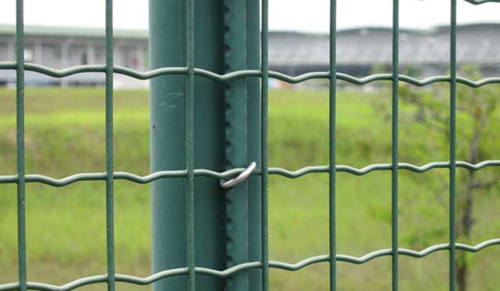 Green PVC coated Euro fence panel fixed to a round post